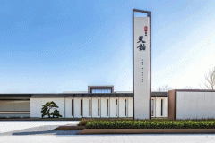 他们正在各自范畴做出了精采