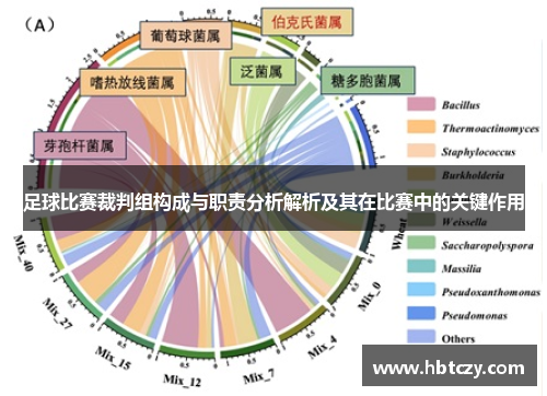 足球比赛裁判组构成与职责分析解析及其在比赛中的关键作用